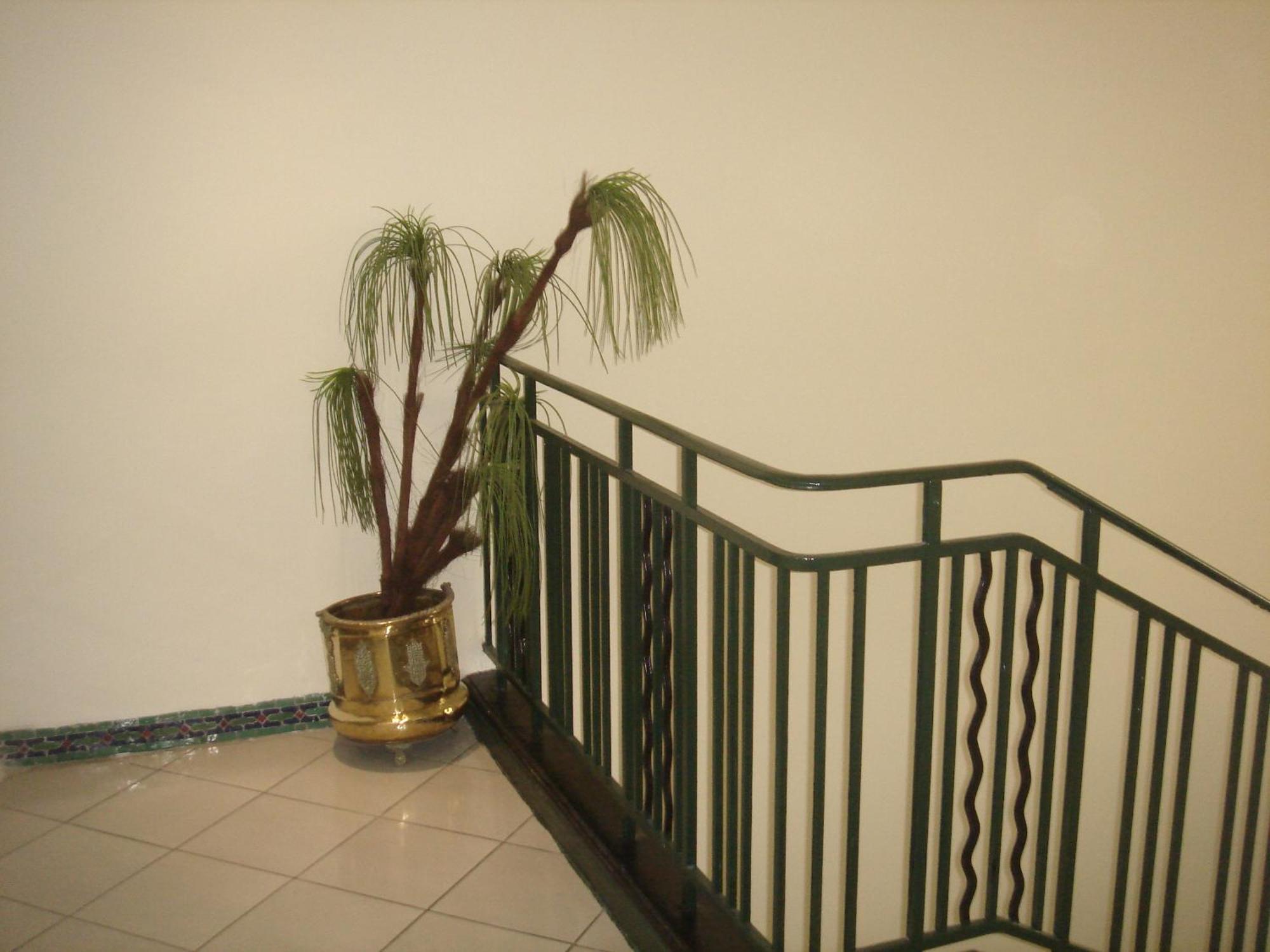 Hotel Olympic Fez Bagian luar foto